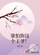 谁怕你这个王爷！