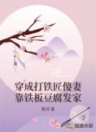 穿成打铁匠傻妻靠铁板豆腐发家
