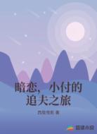 暗恋,小付的追夫之旅