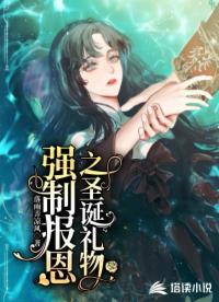 强制报恩之圣诞礼物