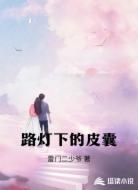 路灯下的皮囊
