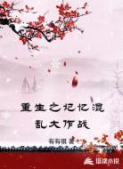 重生之记忆混乱大作战