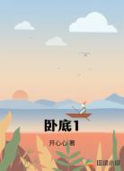 卧底1