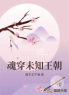 魂穿未知王朝