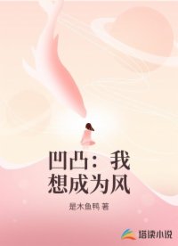 凹凸：我想成为风