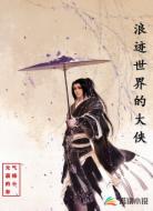 浪迹世界的大侠