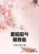 君昭昭兮照我心