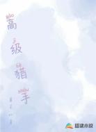 高级猎手