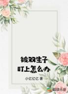 被双生子盯上怎么办