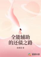 全能辅助的还债之路