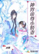神界帝尊小娇妻