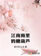 江南雨里的糖葫芦