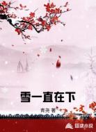 雪一直在下