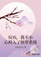 SOS,我不小心掉入了快穿系统