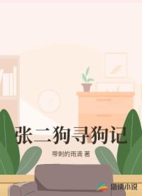 张二狗寻狗记