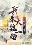 我来大魏一趟,不料光芒万丈