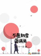 不愿初雪落满头