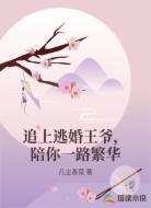 追上逃婚王爷，陪你一路繁华