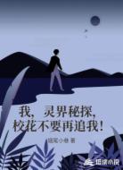 我，灵界秘探，校花不要再追我！