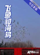 飞鱼和海鸟