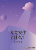 究竟发生了什么？