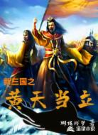 新三国之黄天当立