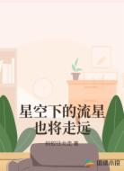 星空下的流星也将走远