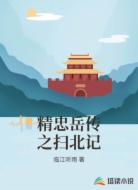 精忠岳传之扫北记