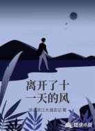 离开了十一天的风