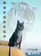 病猫发威就是猛虎