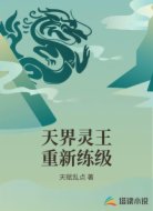 天界灵王重新练级