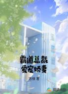 霸道总裁爱宠娇妻