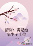 清穿:贵妃她靠生子上位