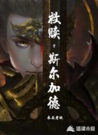 救赎于斯尔加德