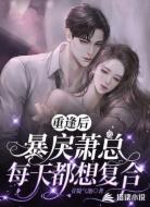 重逢后,暴戾萧总每天都想复合