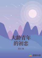 大龄青年的初恋