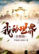我的世界在修仙
