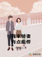 我家娇妻有点彪悍