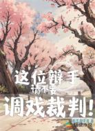 这位辩手,请不要调戏裁判!