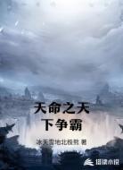 天命之天下争霸