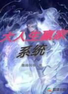 大人生赢家系统