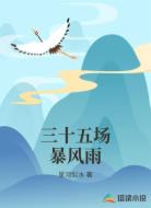 三十五场暴风雨