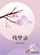 残梦录