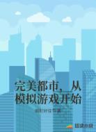完美都市，从模拟游戏开始