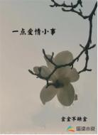 一点爱情小事