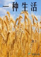 一种生活