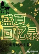 盛夏回忆录