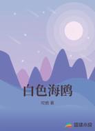 白色海鸥
