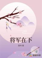 将军在下
