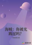 海贼：你被光踢过吗？